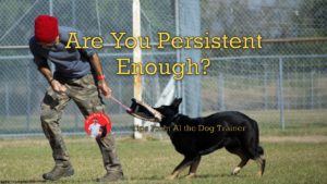 Are you persistent enough?