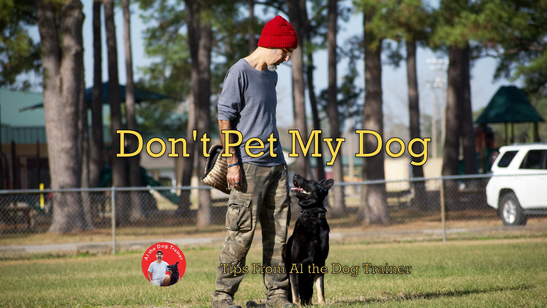 Don’t Pet My Dog Longoriahaus Dog Training