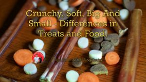 Crunchy, Soft, Big And Small - Differences in Treats and Food.