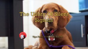 The Utility Of Silent Signals
