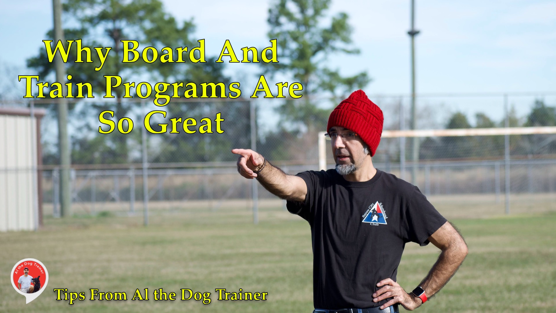 Why Board And Train Programs Are So Great! - Longoriahaus Dog Training