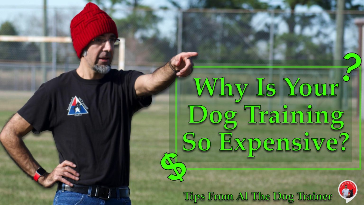 Why Is Your Dog Training So Expensive? Longoriahaus Dog Training