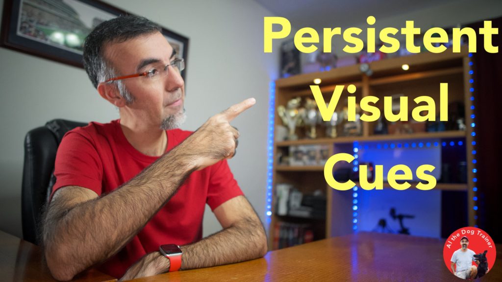 Persistent Visual Cues