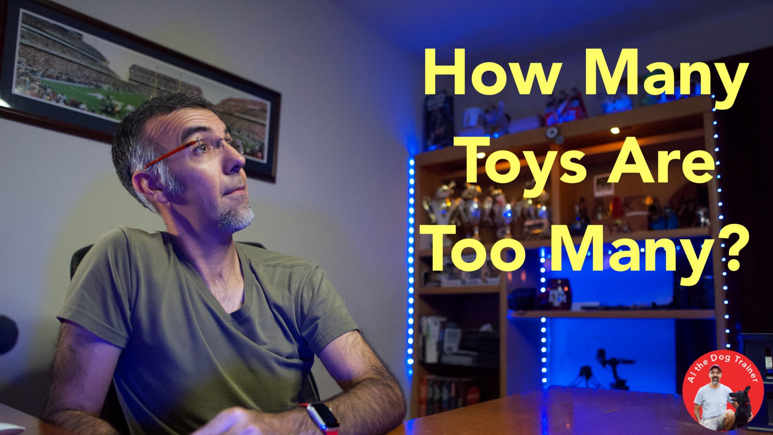 How Many Toys Are Too Many? Longoriahaus Dog Training