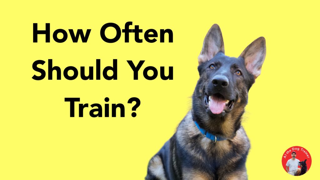 How Often Should I Train?