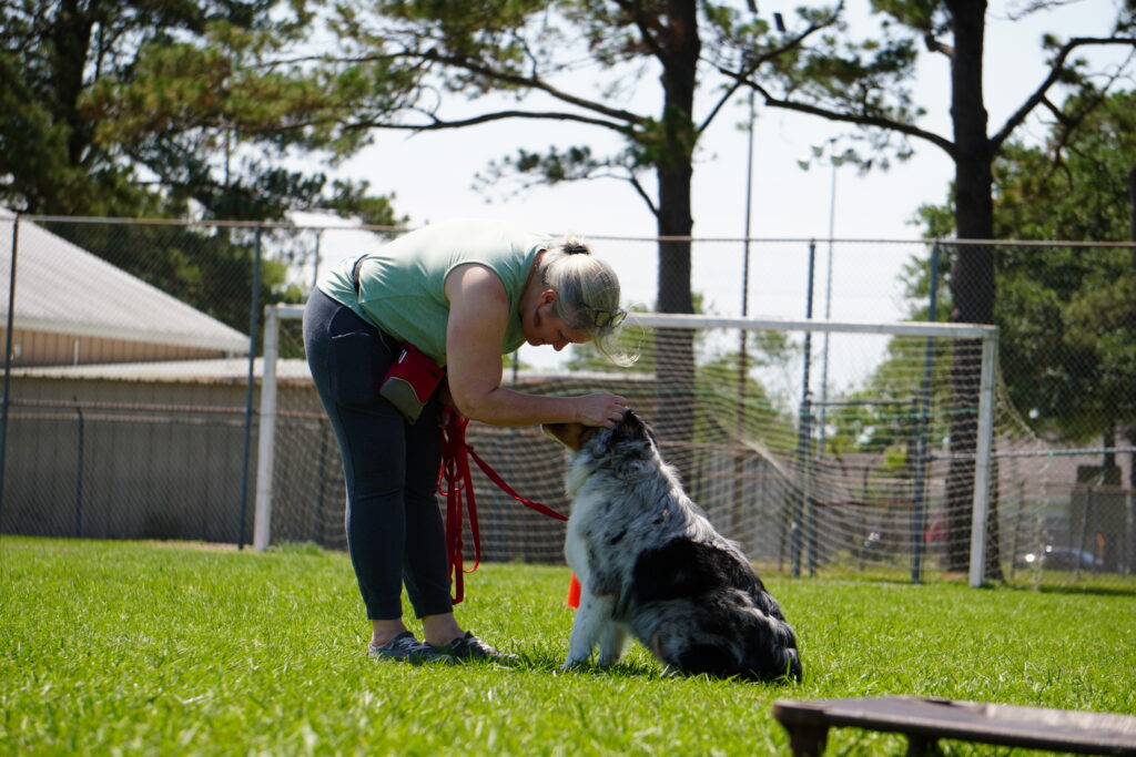 dog training kingwood, humble, houston, Texas