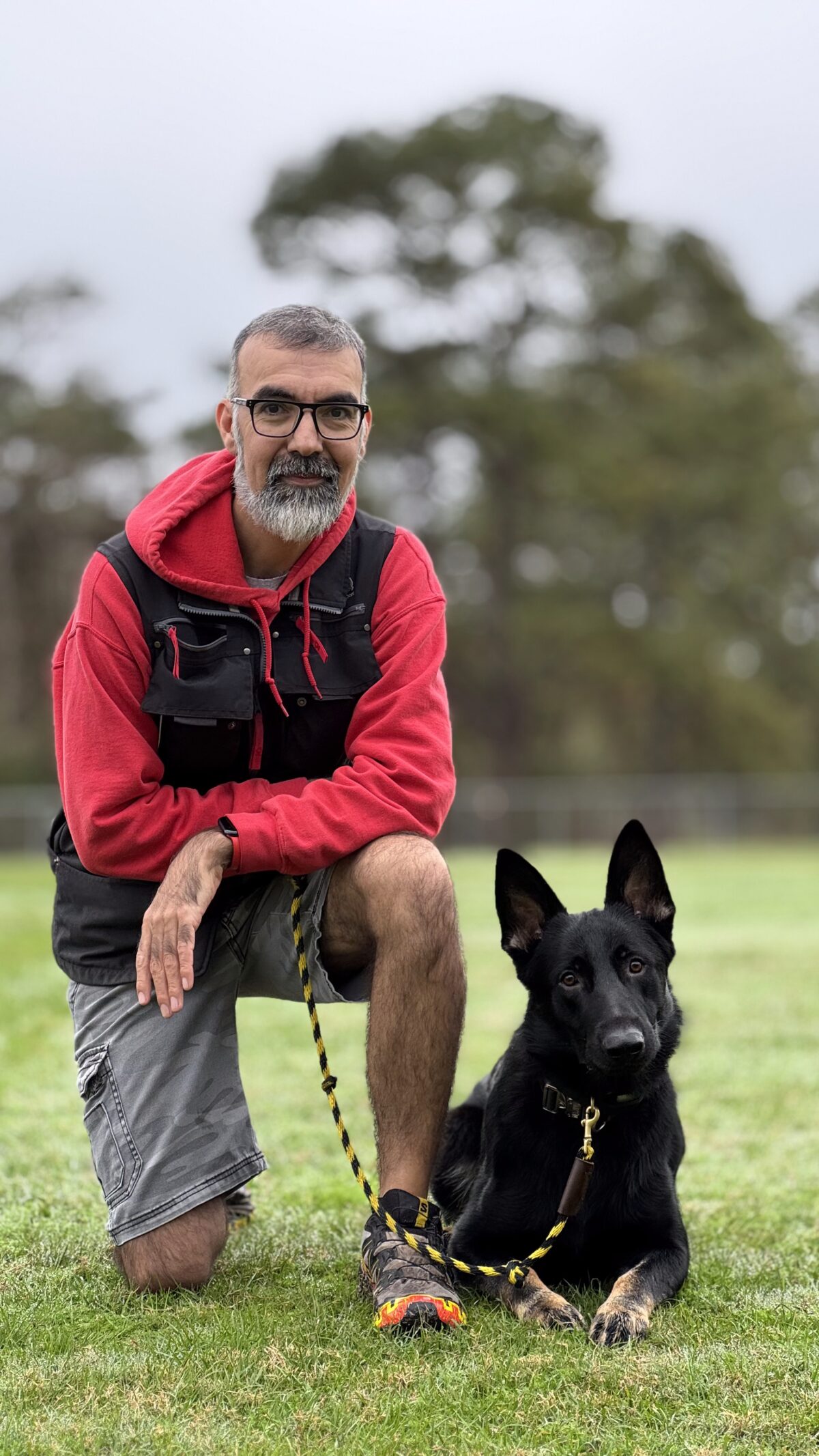 dog training kingwood, humble, houston, Texas