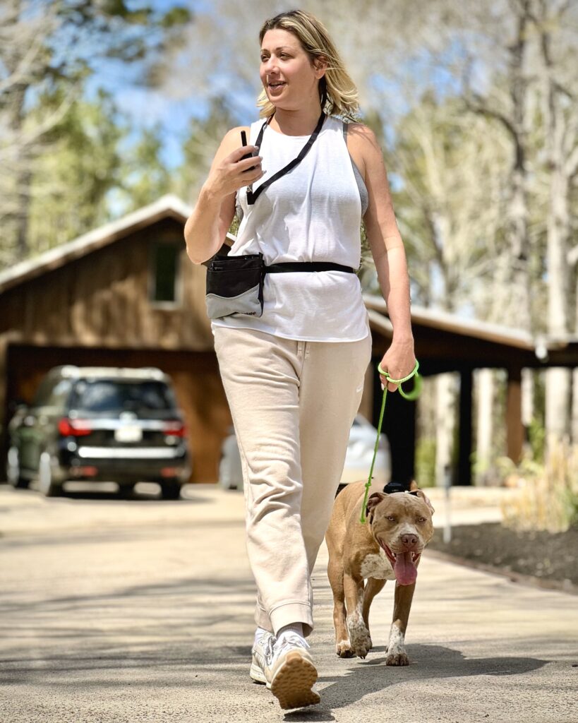 dog training kingwood, humble, houston, Texas