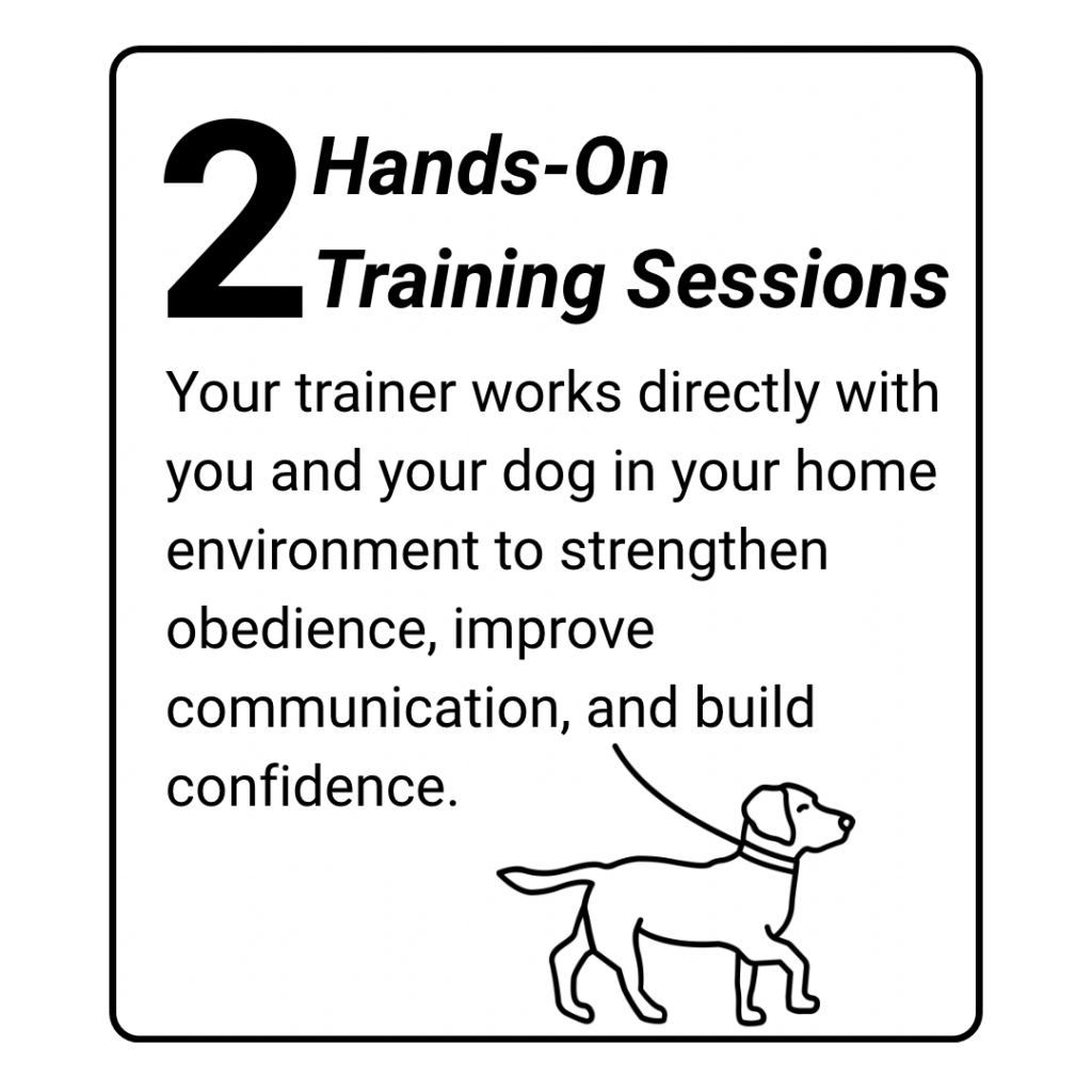 dog training kingwood, humble, houston, Texas