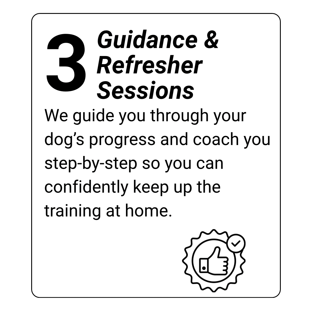 dog training kingwood, humble, houston, Texas