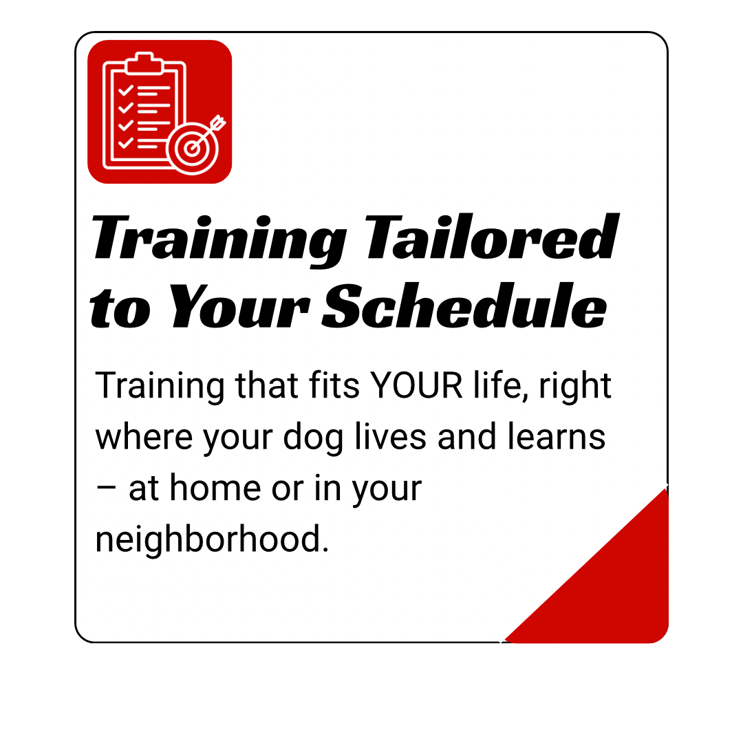 dog training kingwood, humble, houston, Texas
