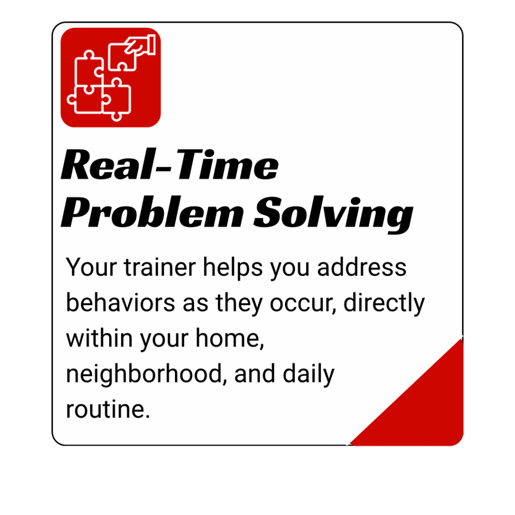dog training kingwood, humble, houston, Texas