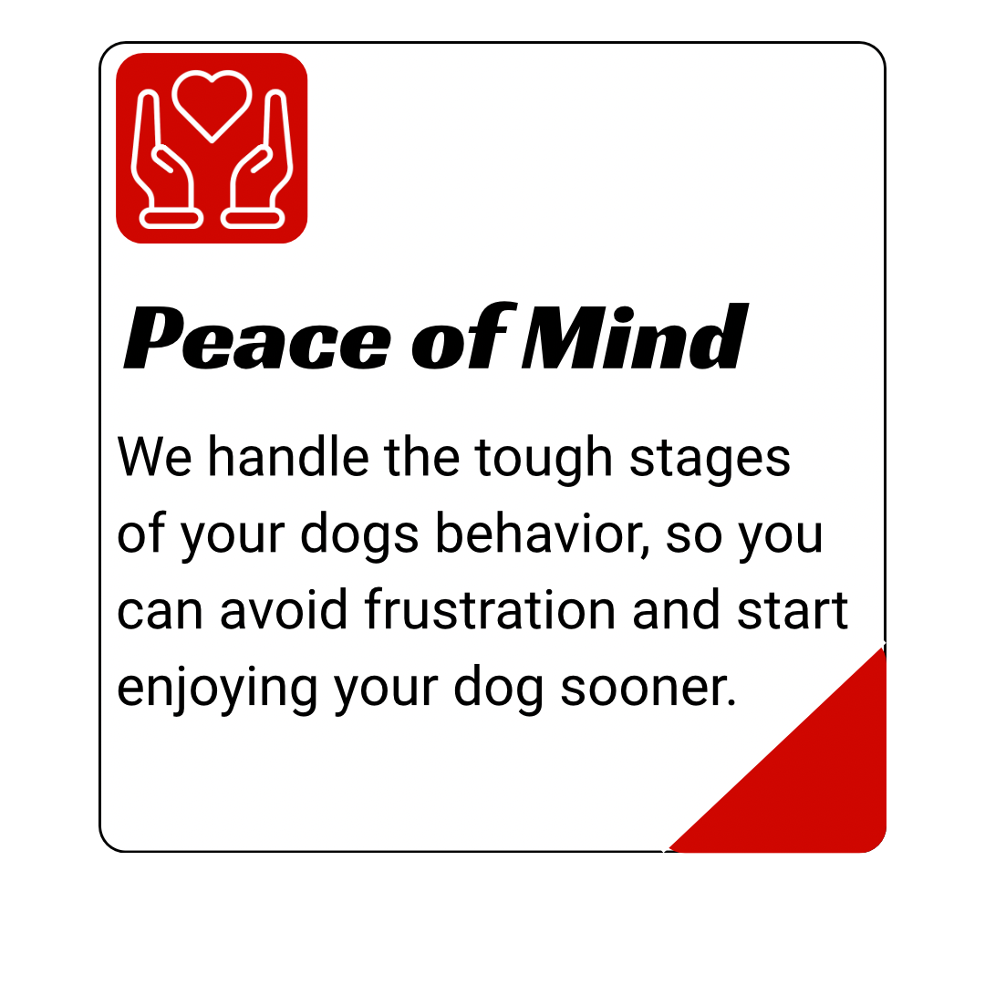 dog training kingwood, humble, houston, Texas