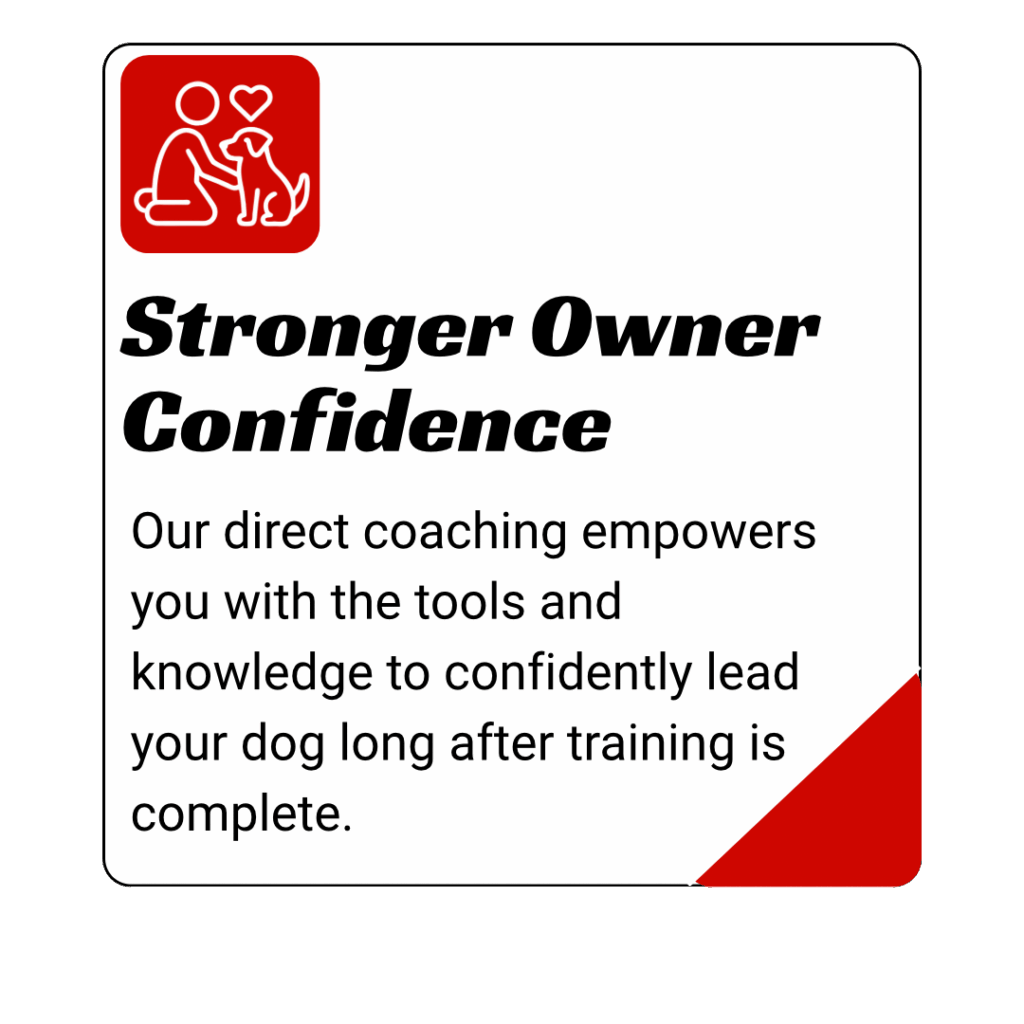 dog training kingwood, humble, houston, Texas