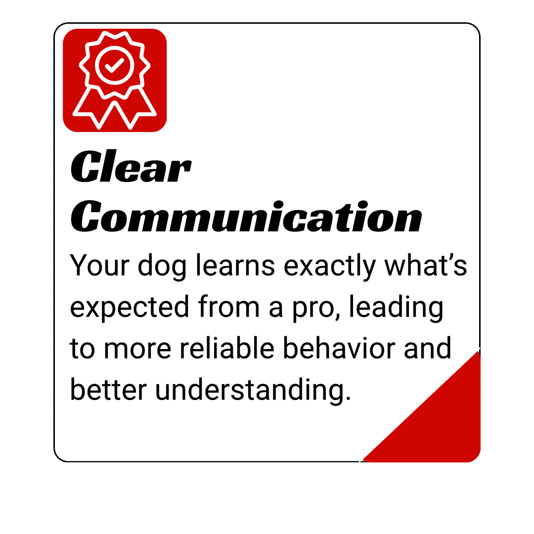 dog training kingwood, humble, houston, Texas