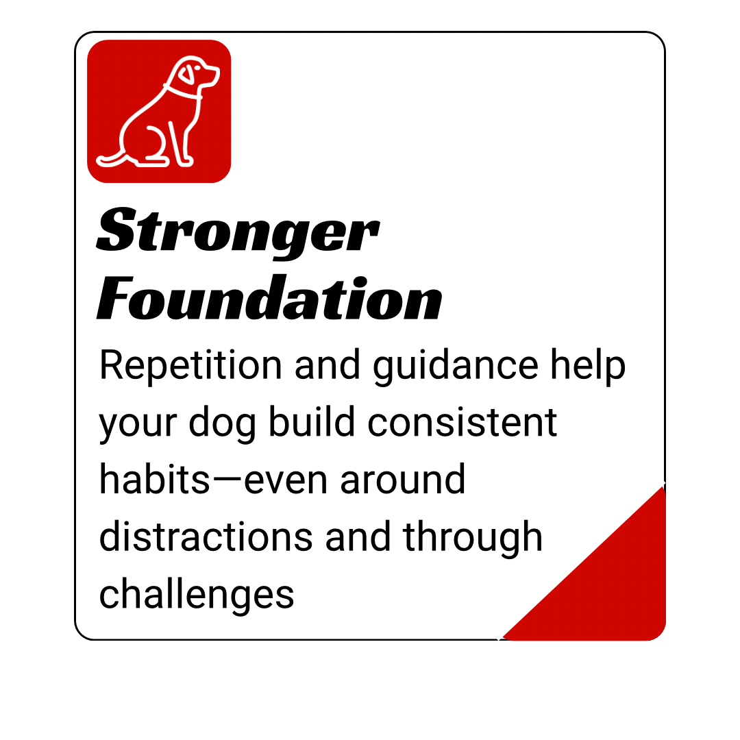 dog training kingwood, humble, houston, Texas