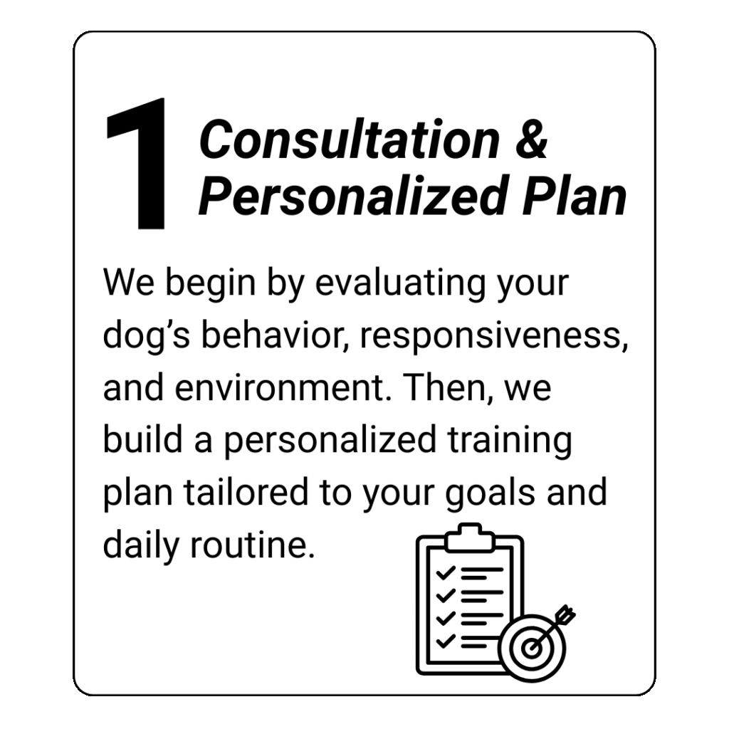 dog training kingwood, humble, houston, Texas