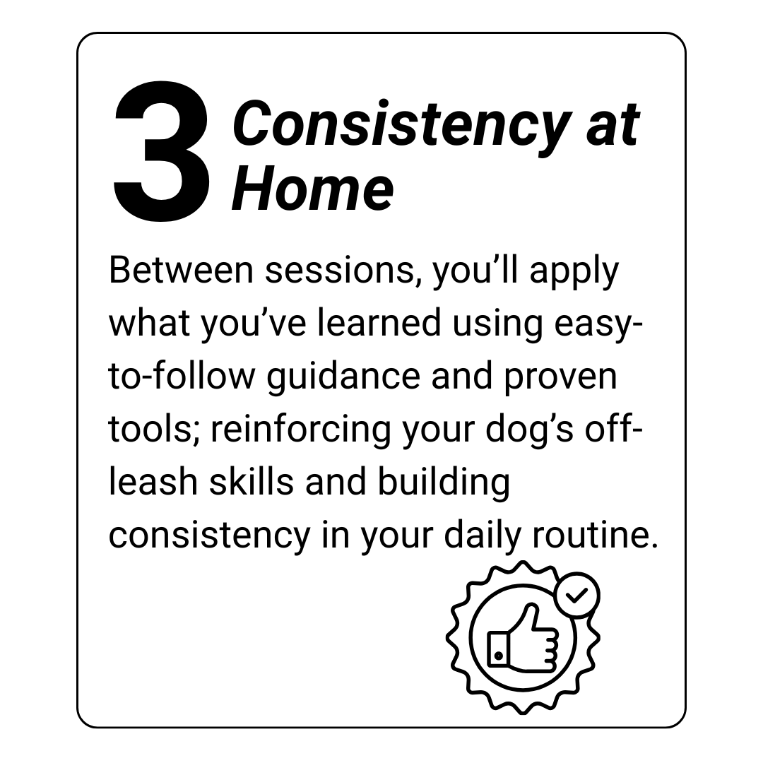 dog training kingwood, humble, houston, Texas
