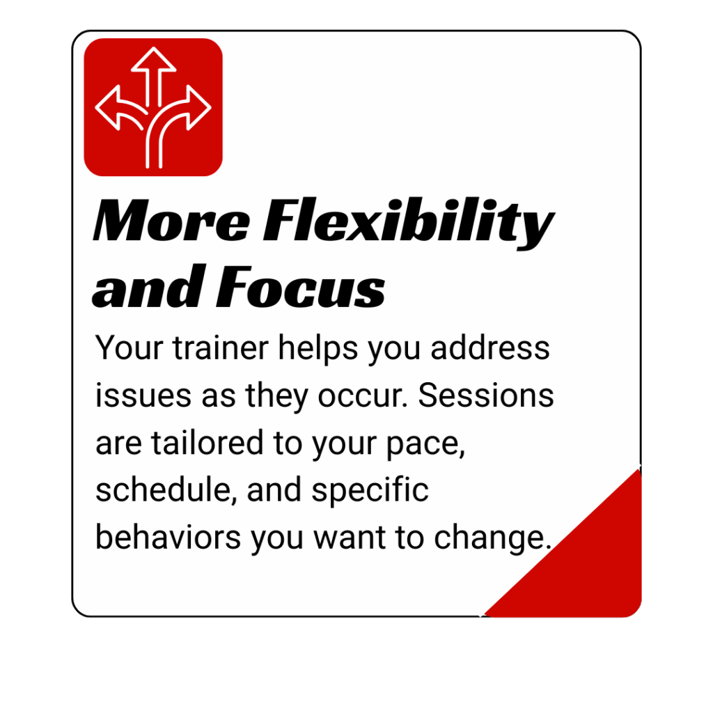 dog training kingwood, humble, houston, Texas