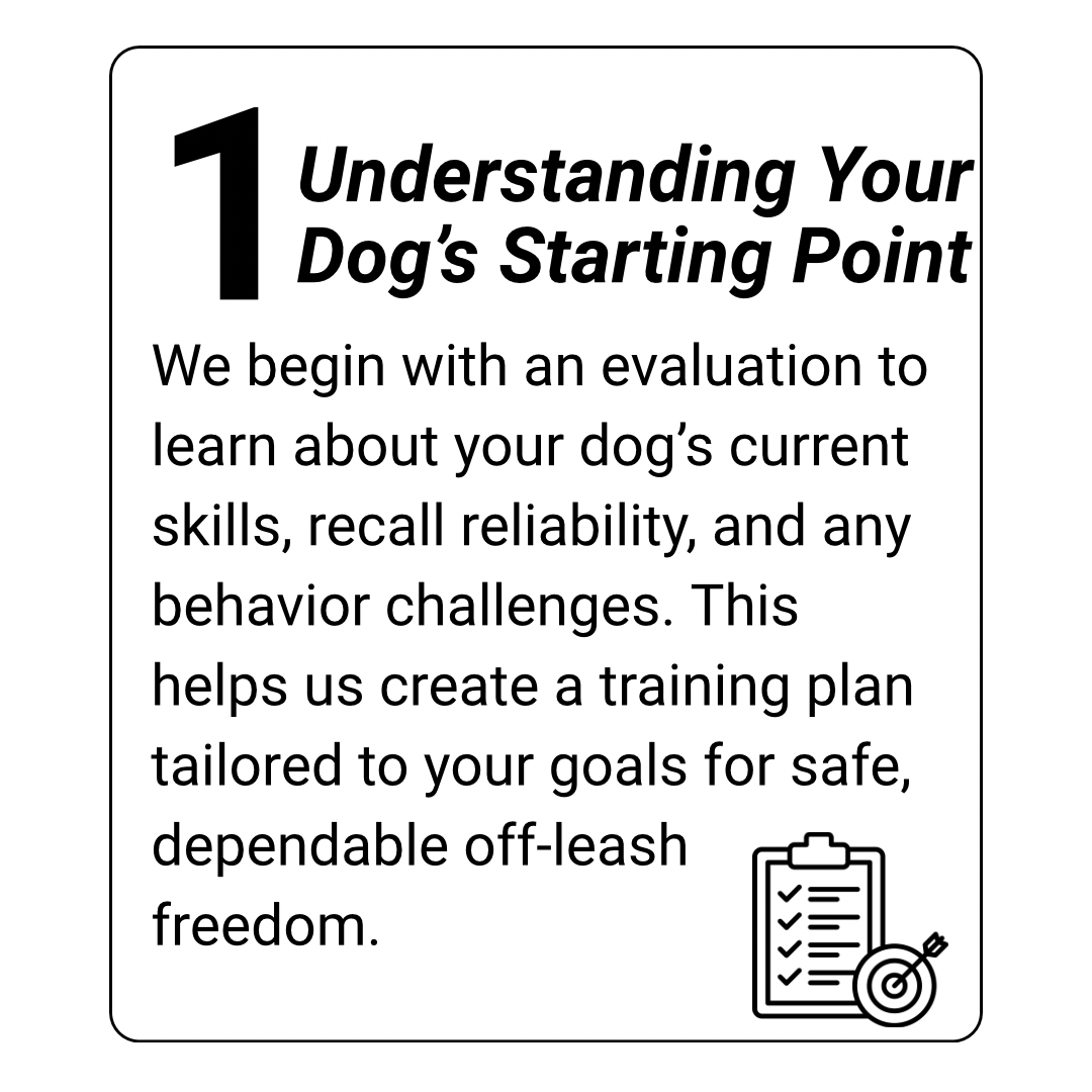 off-leash dog training in houston texas