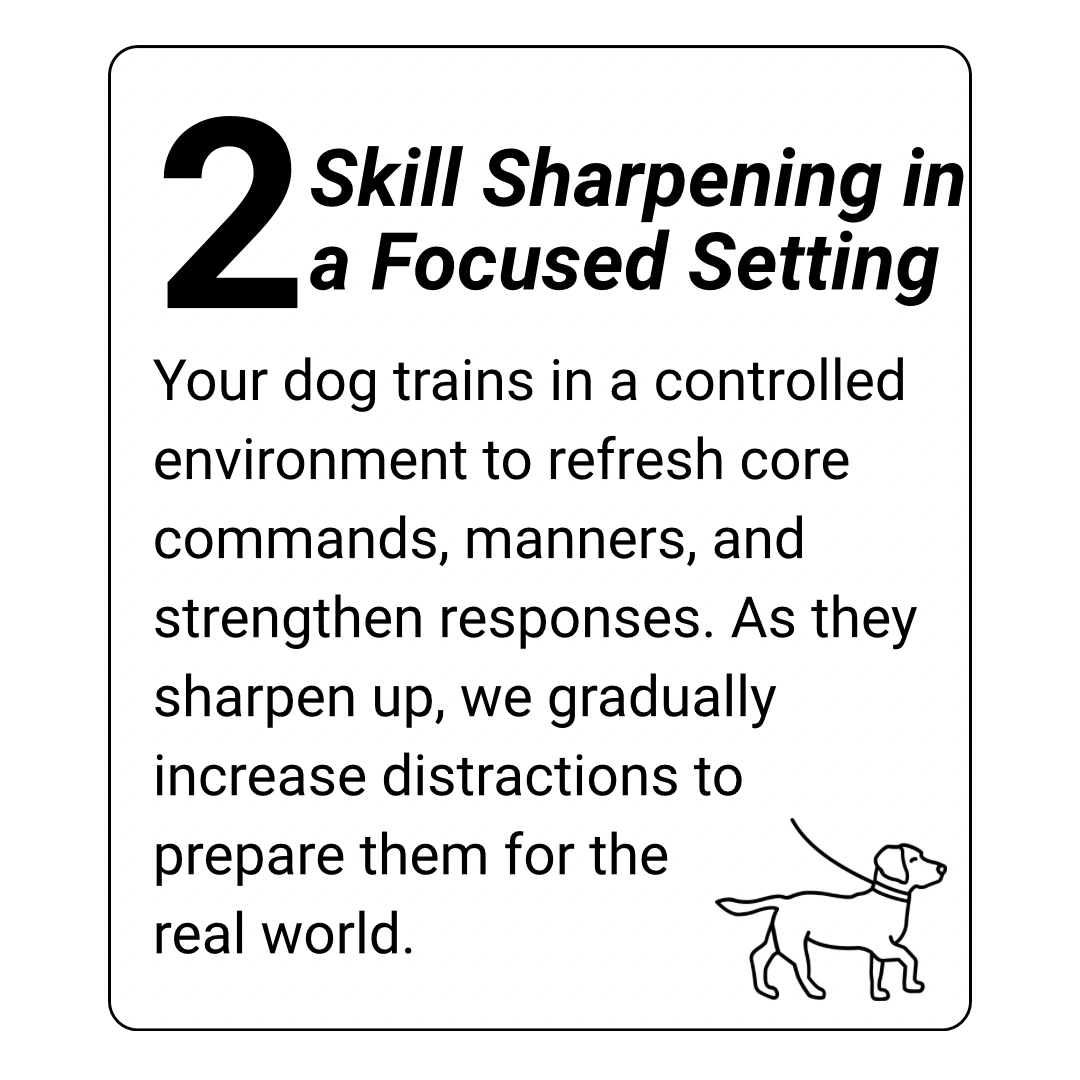 dog training kingwood, humble, houston, Texas