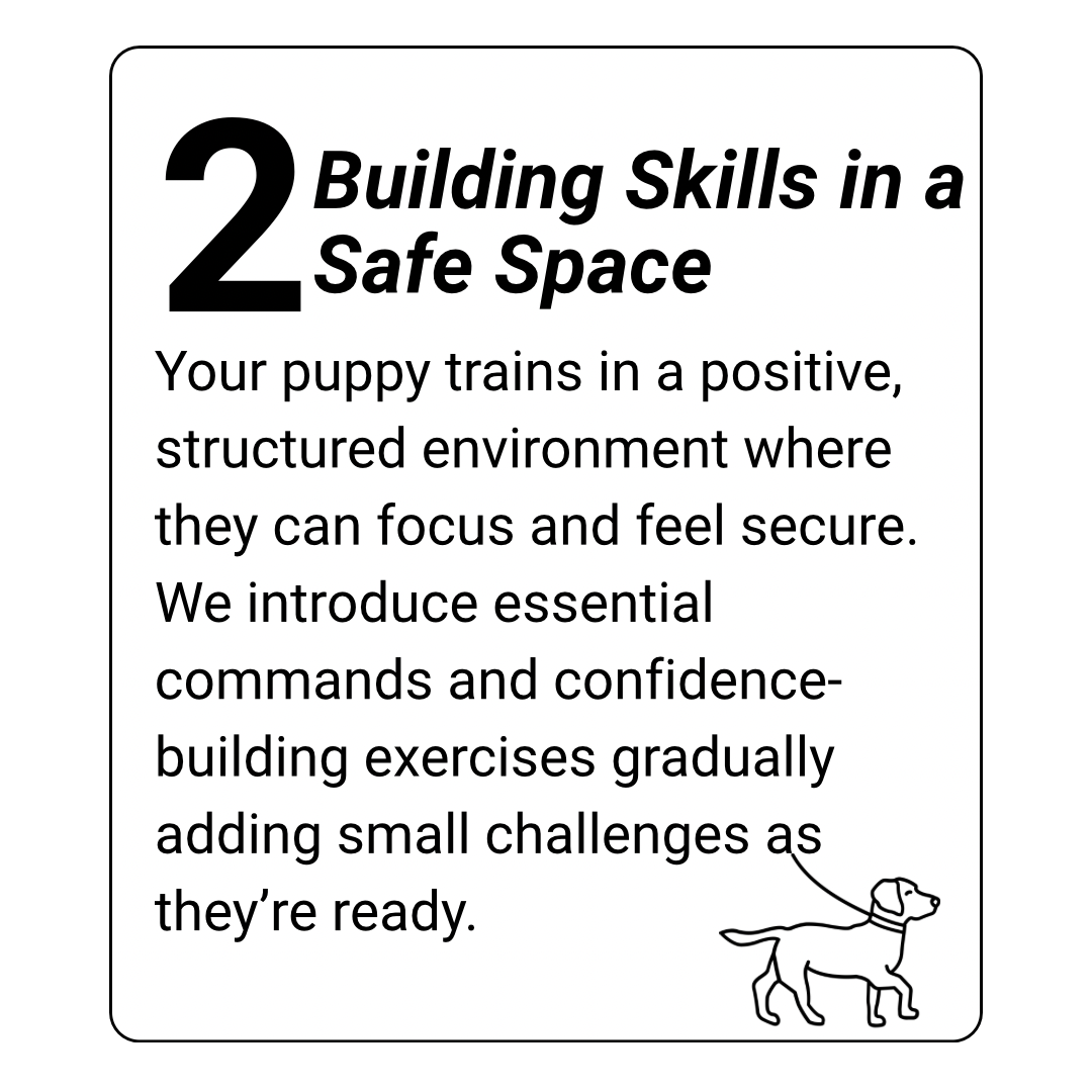 puppy training kingwood, humble, houston, Texas
