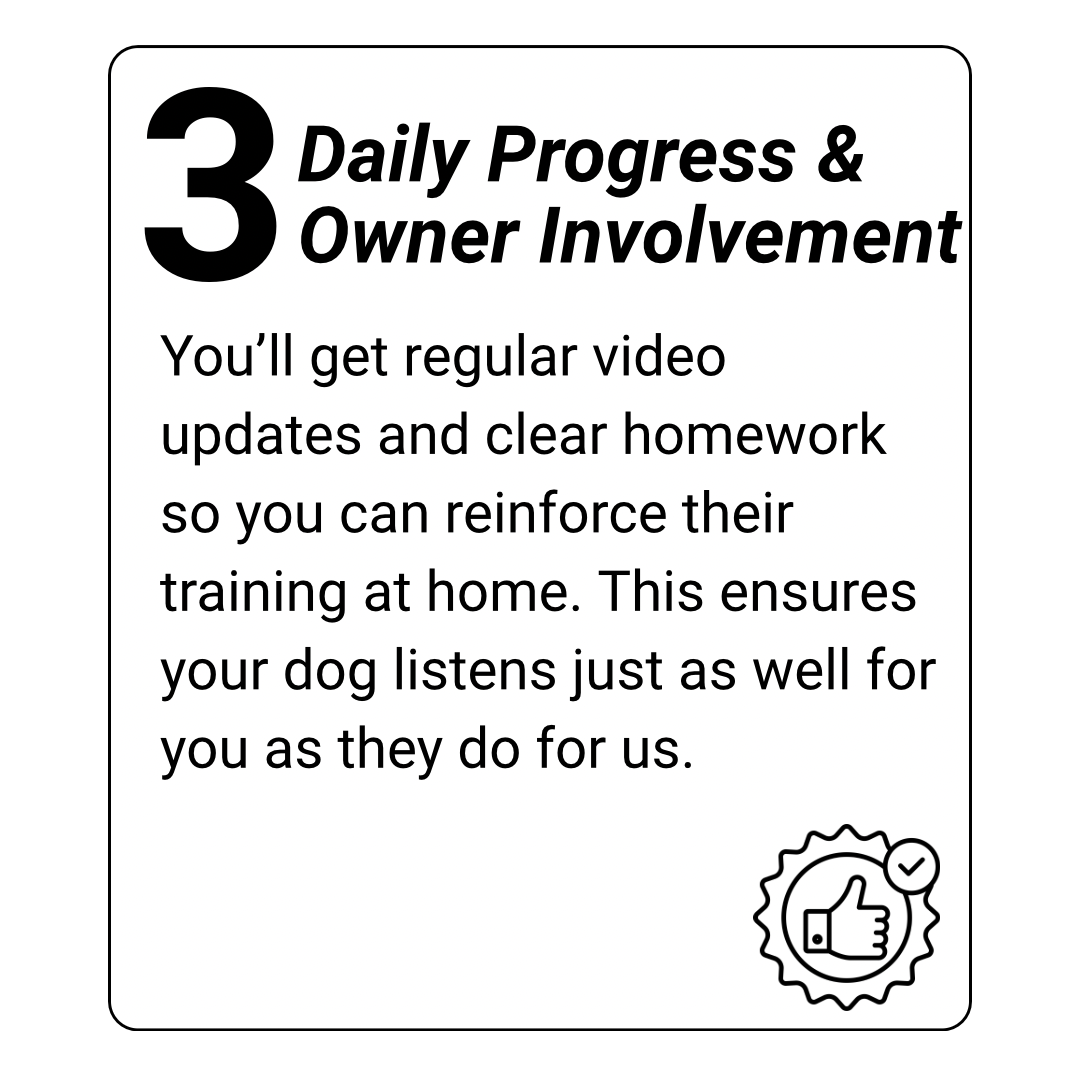 off-leash dog training in houston texas