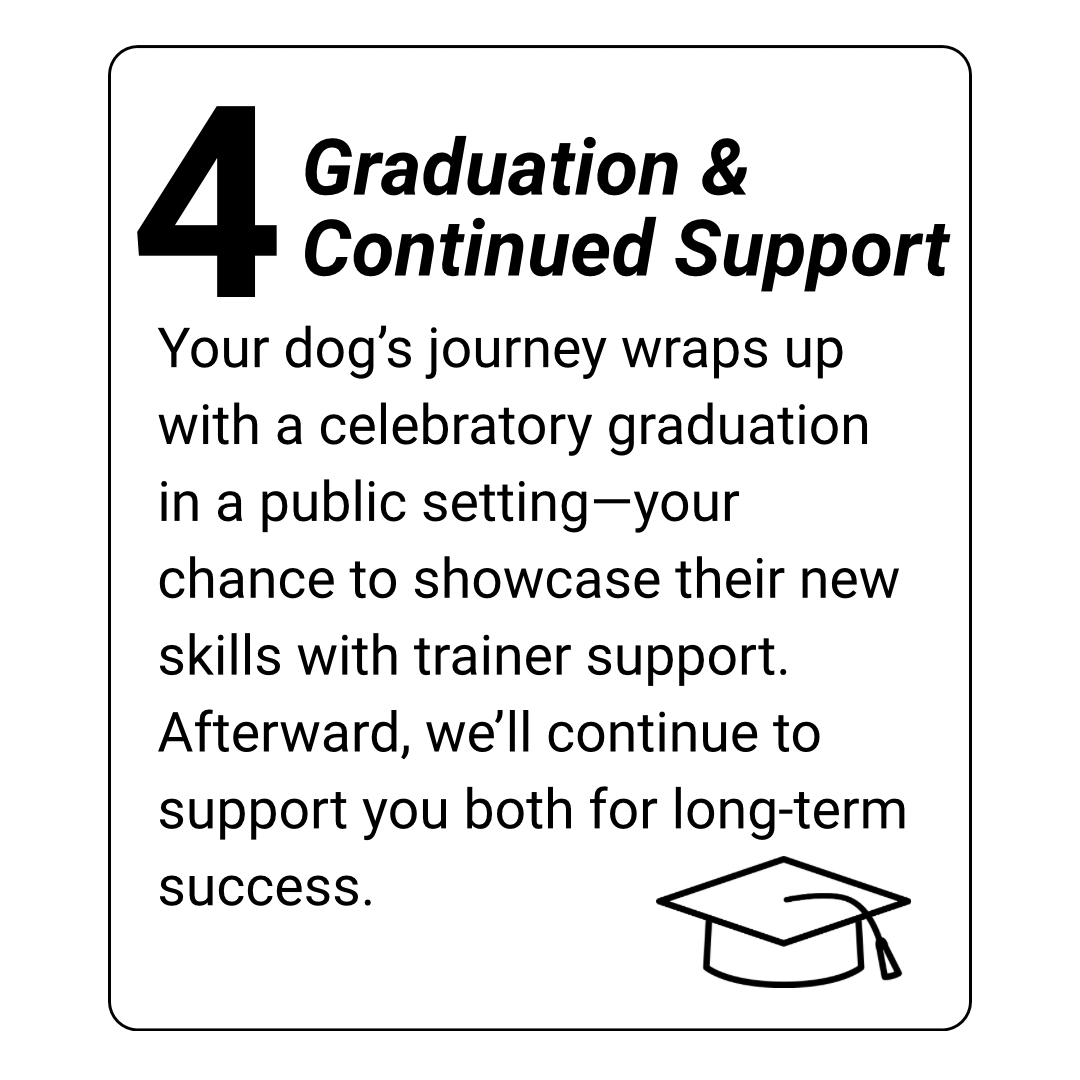 dog day training kingwood, humble, houston, Texas