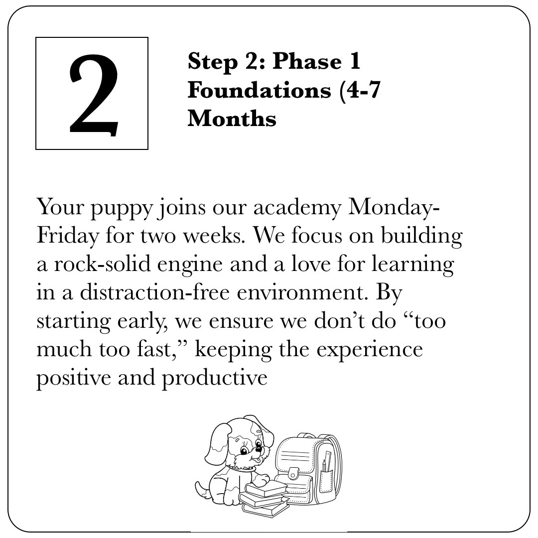 Step 2 of the Puppy Launchpad: Phase 1 Foundations for puppies aged 4 to 7 months. Includes Monday through Friday immersive training.
