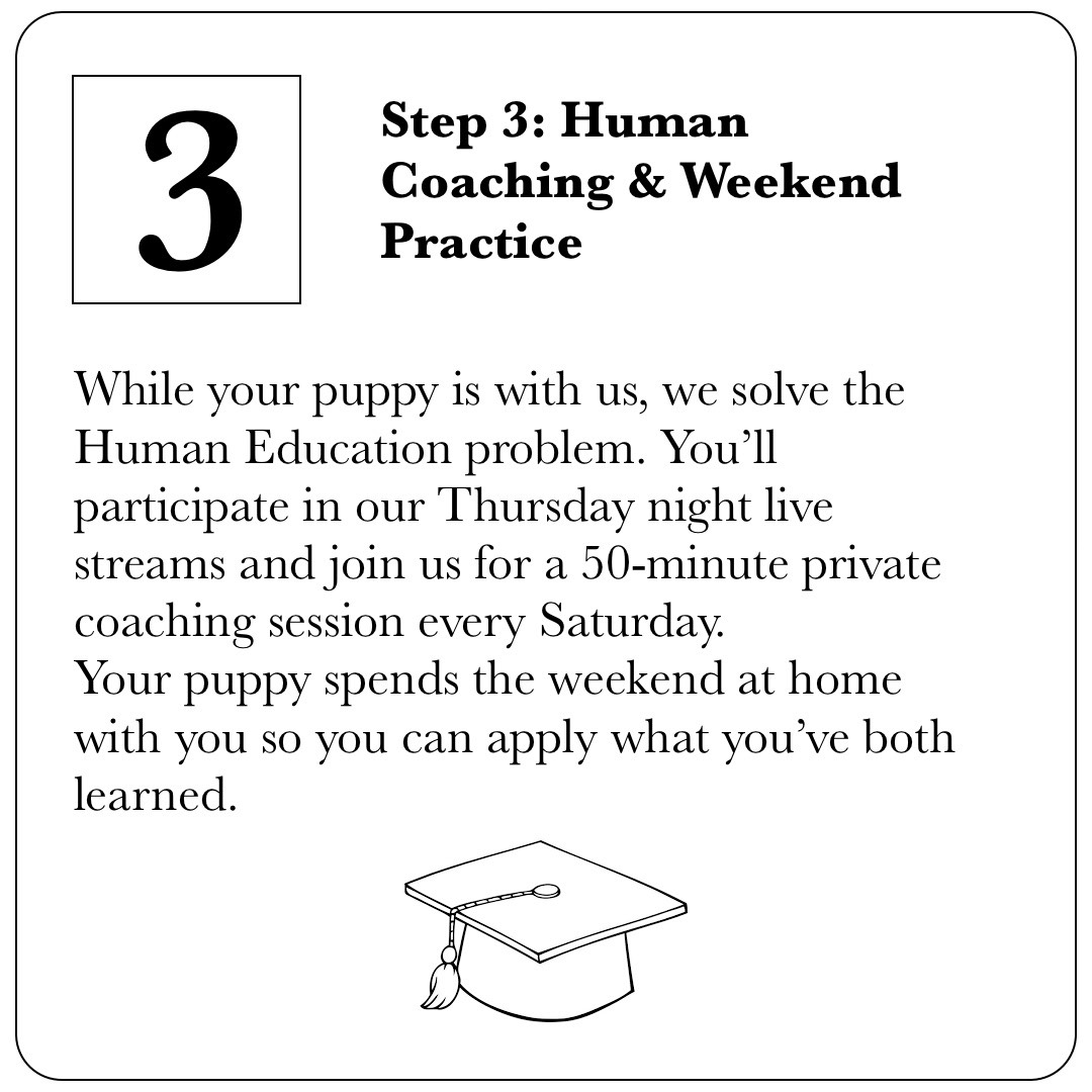 Step 3 of the Puppy Launchpad: Human coaching via Thursday night live streams and 50-minute private Saturday sessions with your dog.
