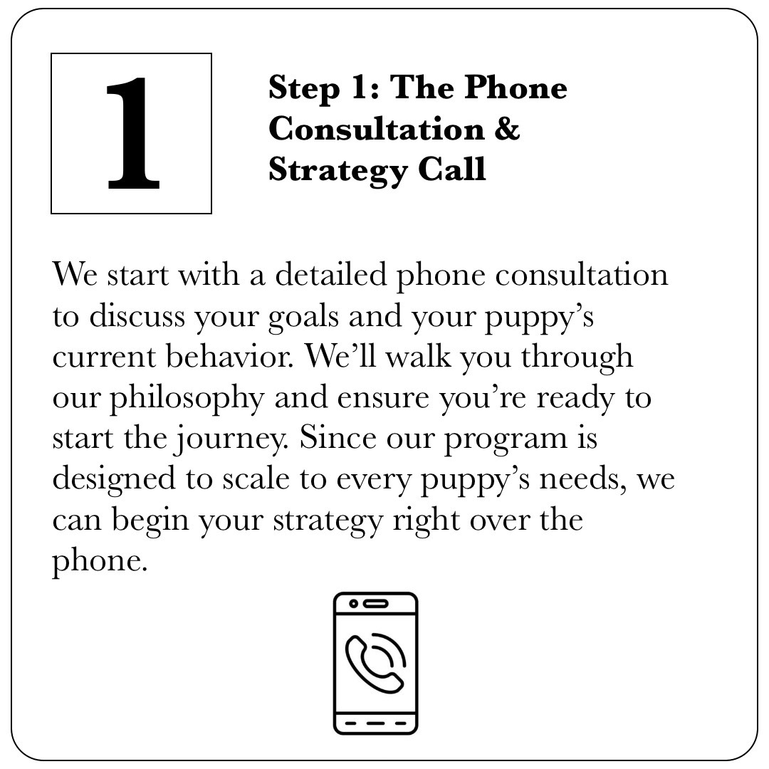Step 1 of the Longoriahaus Puppy Launchpad: A professional phone consultation to discuss training goals, puppy behavior, and program fit.
