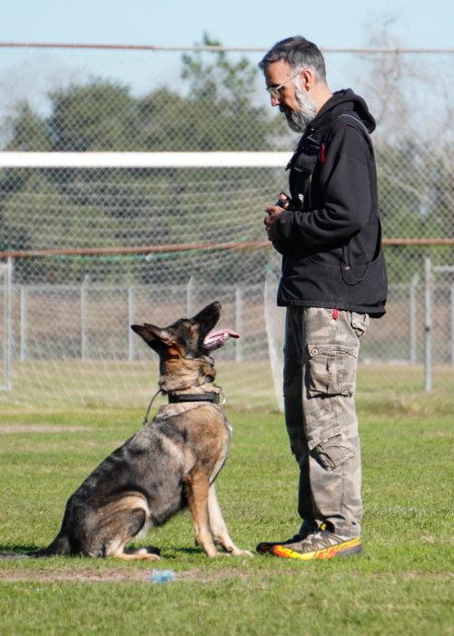 Al the Dog Trainer wit Alpha, his German Shepherd Dog