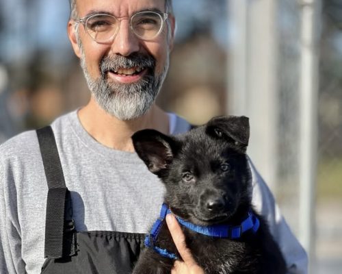 dog training kingwood, humble, houston, Texas