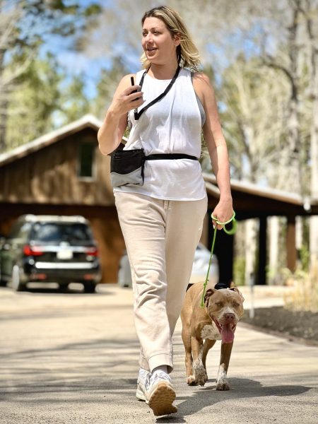dog training kingwood, humble, houston, Texas