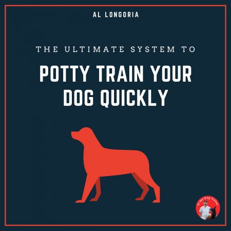 dog potty training